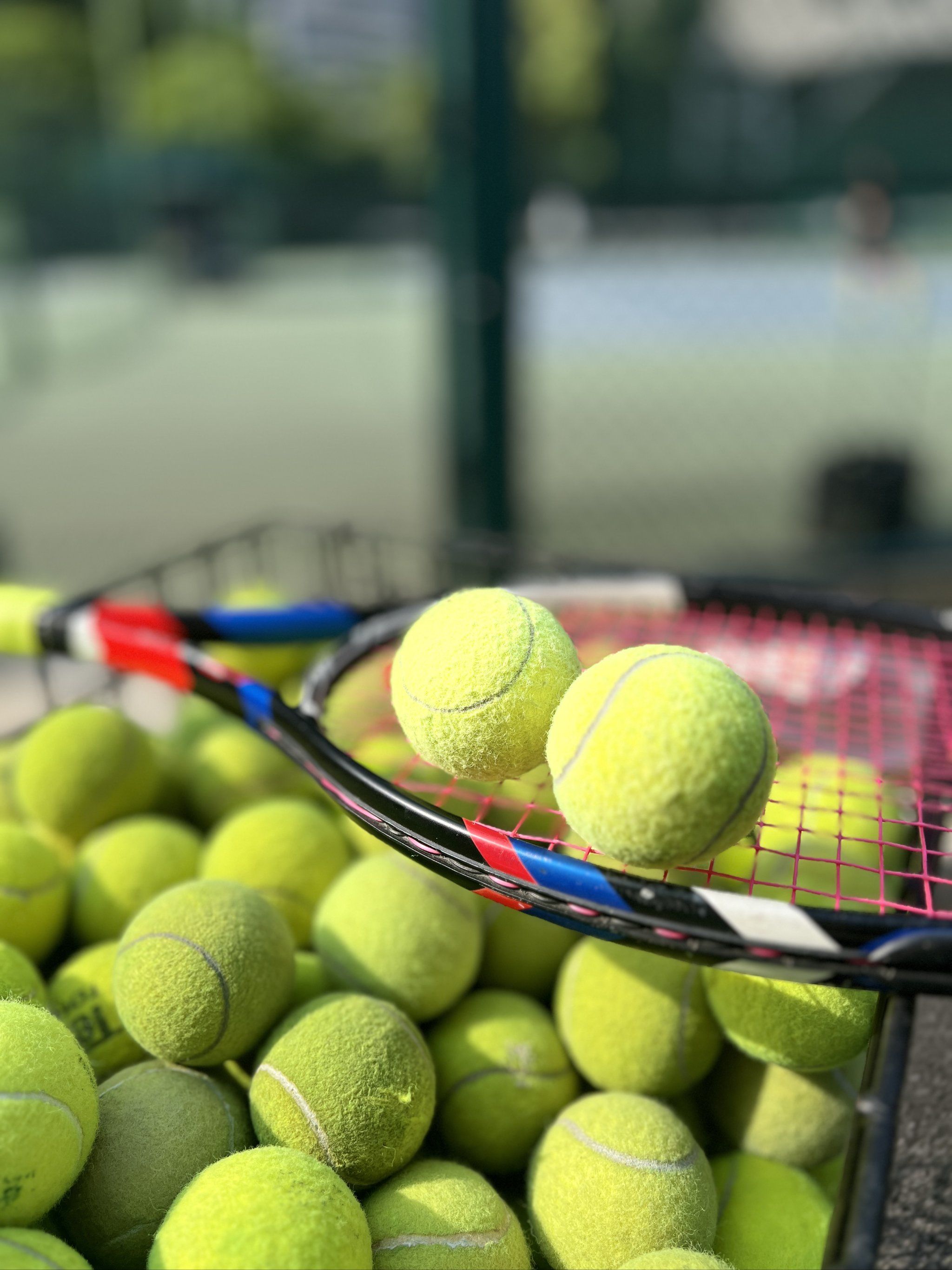 场不败之旅 场不败之旅