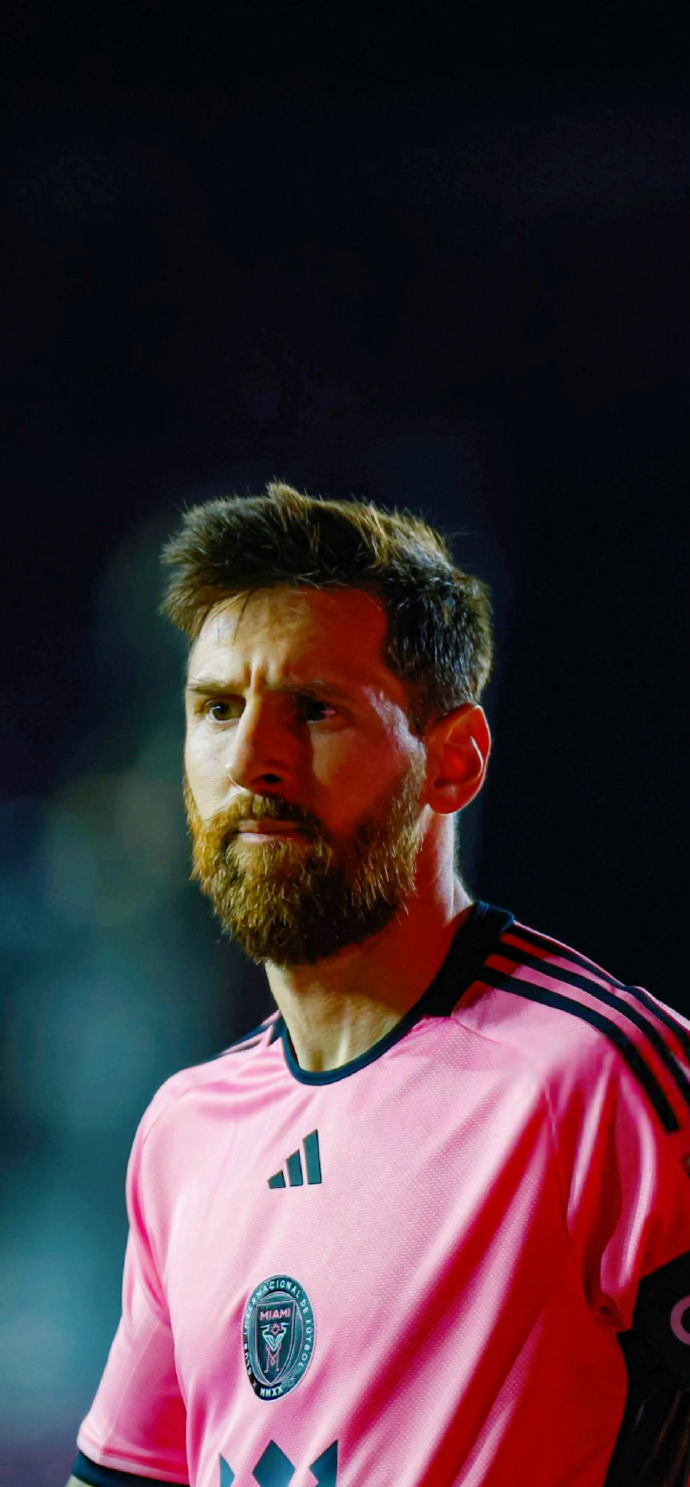 论的潜力 论的潜力