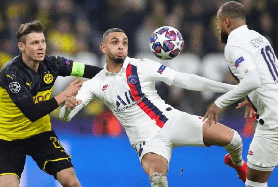 本届游泳锦 本届游泳锦